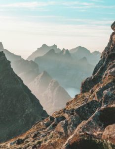 Services 07 233x300.jpg